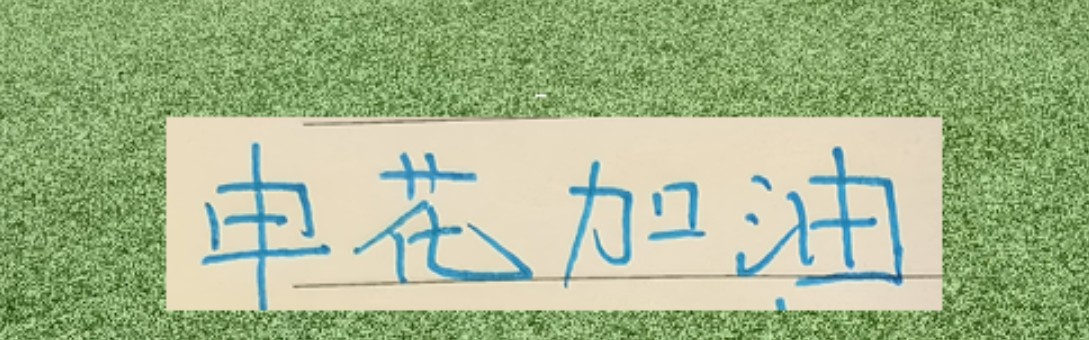 开云体育官网-申花越连胜 球迷越喊 可惜！ 特别是重庆被阻击后 无人拦领头羊